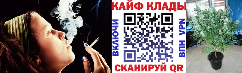 Где можно купить наркотики Ростов Канабис СОЛЬ ГАШИШ Мефедрон Амфетамин Cocaine
