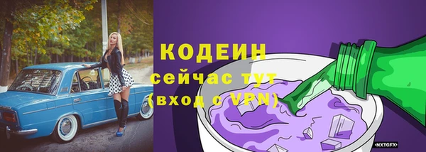 спиды Арсеньев