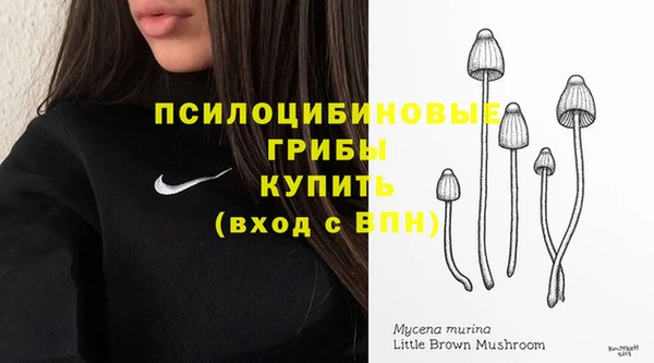 спиды Арсеньев