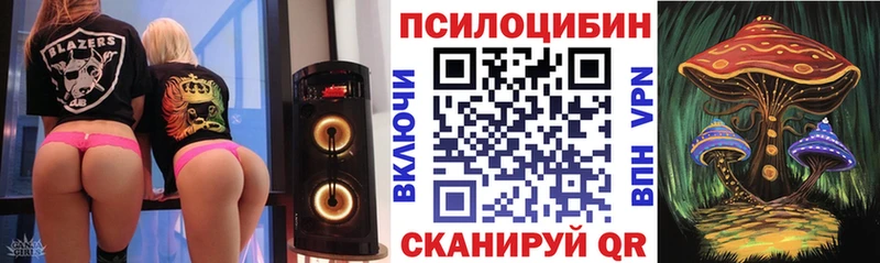 Псилоцибиновые грибы Psilocybe  Ростов 